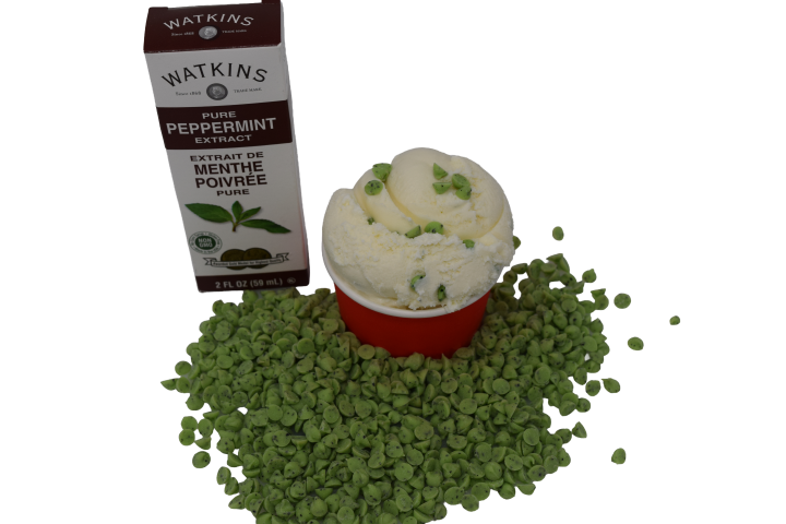 Mint Chip Ice Cream