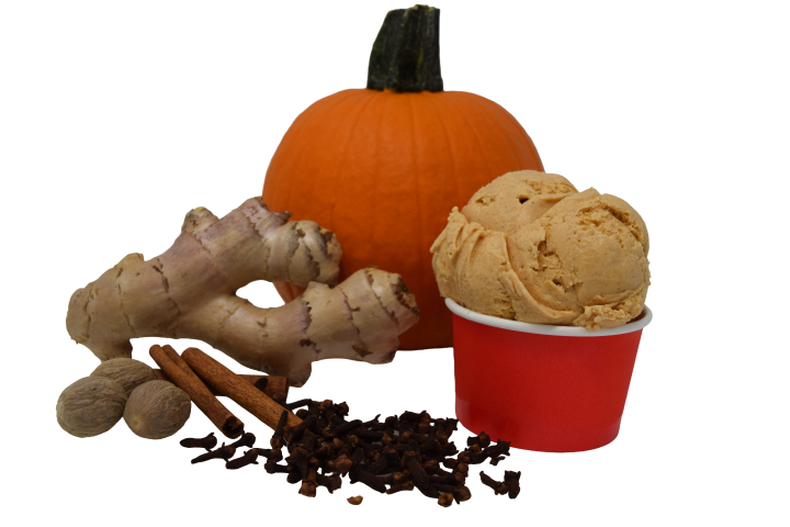 Pumpkin Spice Ice Cream